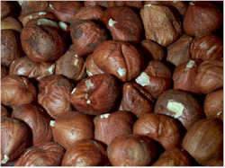 Hazelnuts