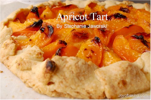 Apricot Tart Recipe