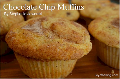Chocolate Chip Muffins Recipe
