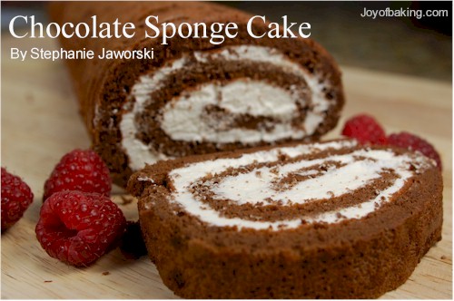 Chocolate Sponge Cake Recipe