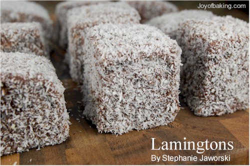 lamington recipe panorama