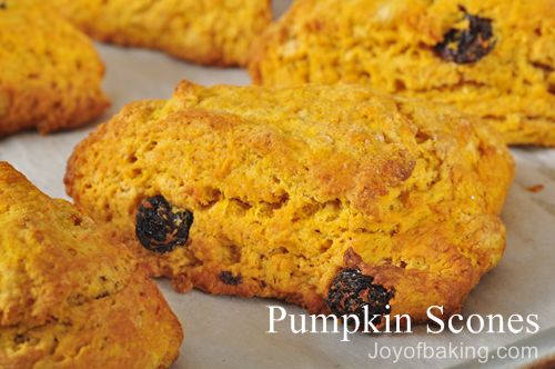 Pumpkin Scones Recipe
