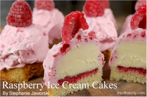 Raspberry Ice Cream Cakes