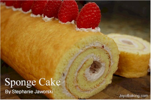 Sponge Cake Recipe
