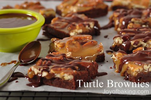turtle brownies print