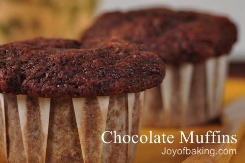 Chocolate Muffins Recipe