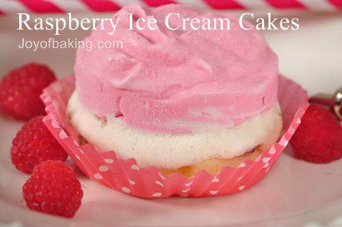 Raspberry Ice Cream Cakes