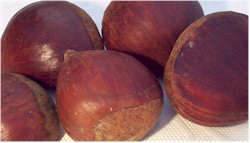 Chestnuts