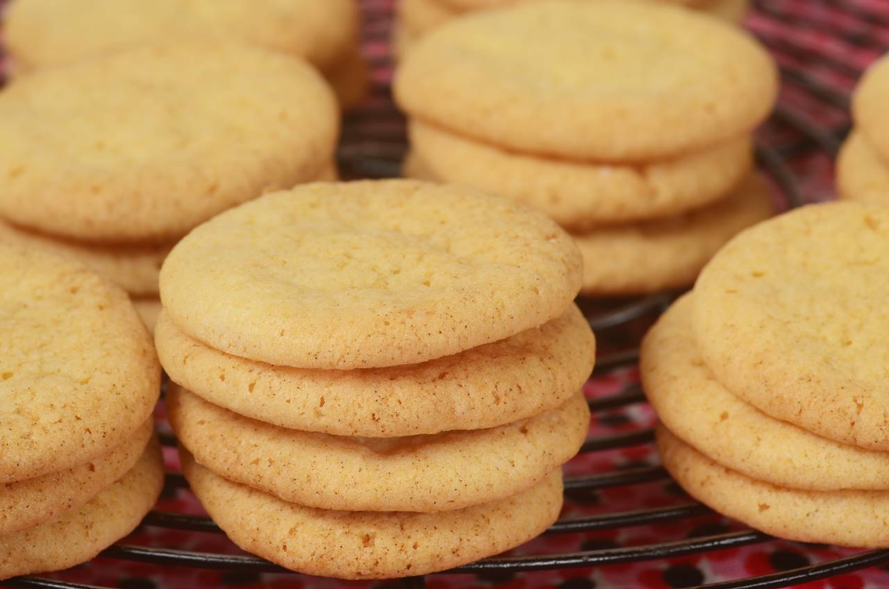 Vanilla Wafers - Joyofbaking.com *Video Recipe*