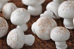 Meringue Mushrooms Recipe