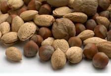 Nuts (Almonds, Pecans, Hazelnuts, etc.)