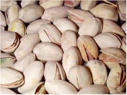 Pistachio Nuts